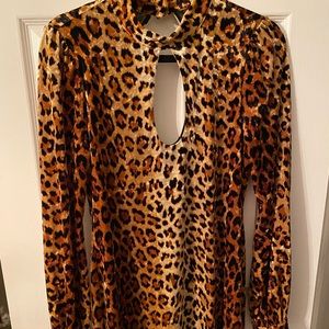 Velvet leopard dress from urban outfitters